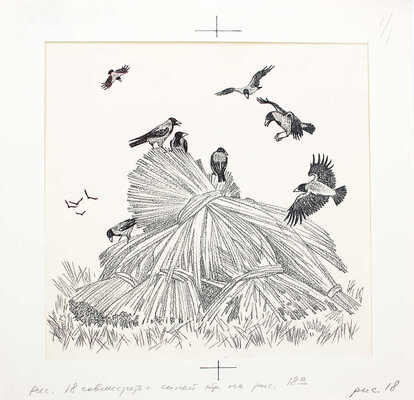 Кузнецов Леонид Трофимович. Макет из 27 иллюстраций и книга К.Д. Ушинского «Рассказы и сказки» (М.: Дет. лит., 1975)